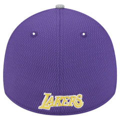 Los Angeles Lakers Active Trim 39THIRTY Flex Hat - Gray/Purple | New Era sale