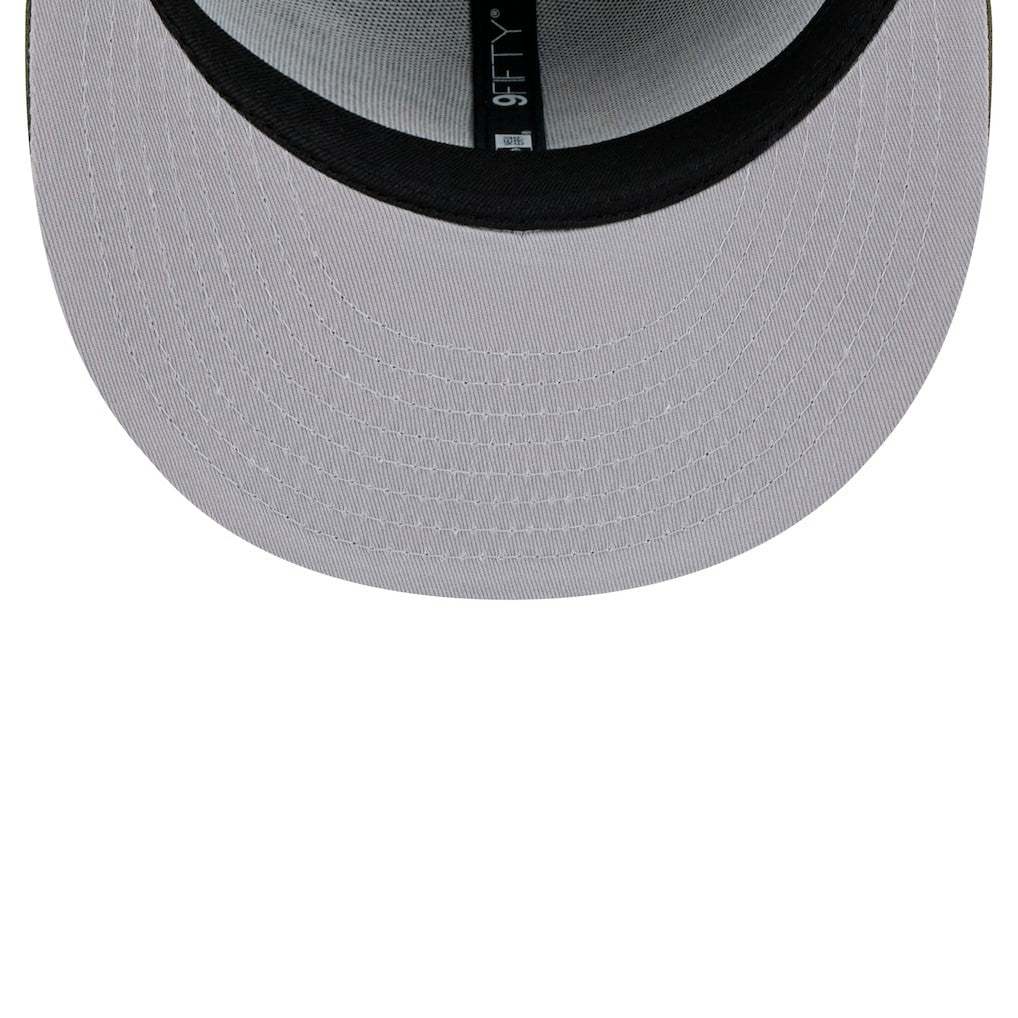 NFL Miami Dolphins Main 9FIFTY Snapback Hat