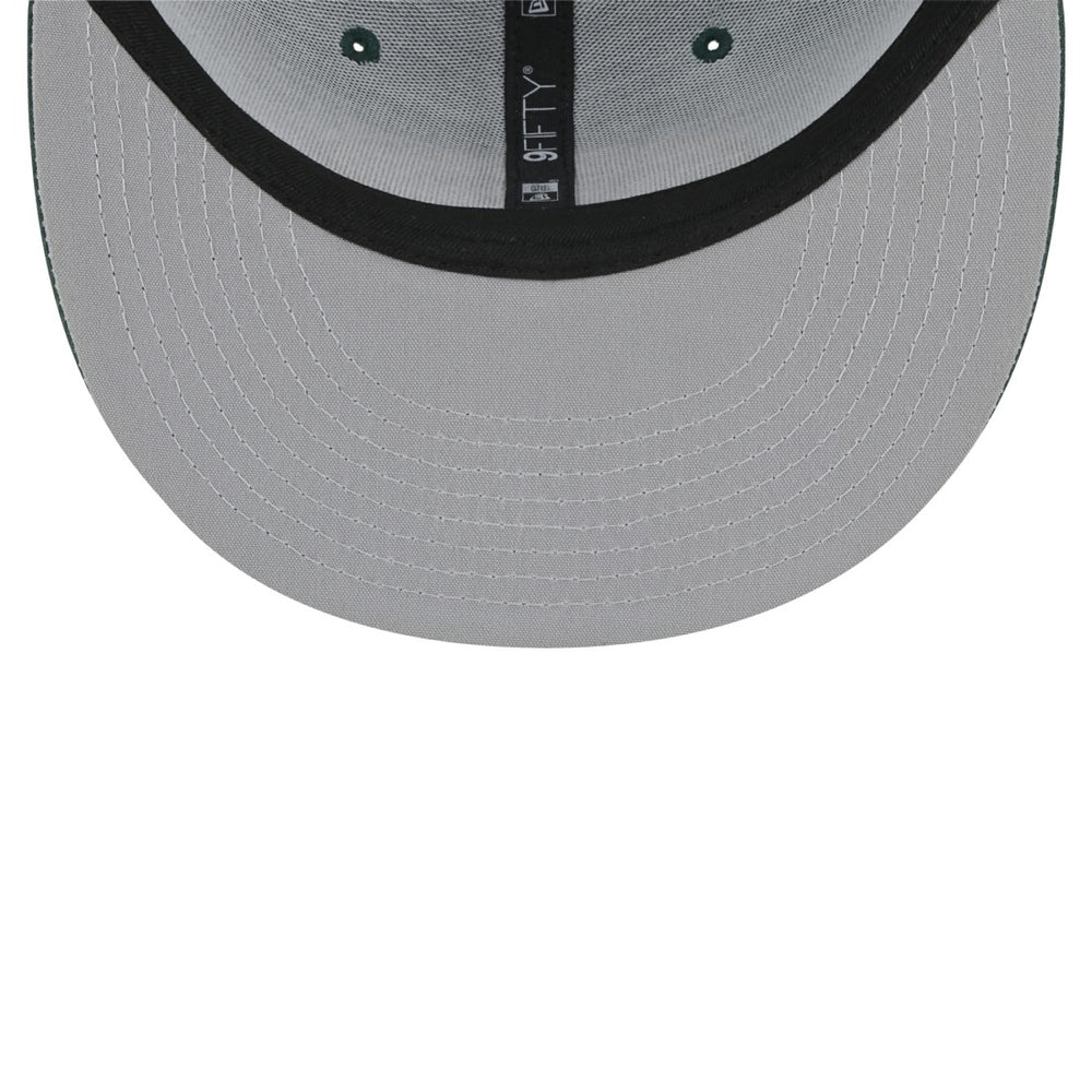 NFL Green Bay Packers Main Trucker 9FIFTY Snapback Hat