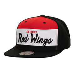 Detroit Red Wings Mitchell & Ness Retro Script Colorblock Snapback Hat