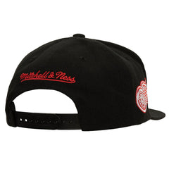 Detroit Red Wings Mitchell & Ness Retro Script Colorblock Snapback Hat