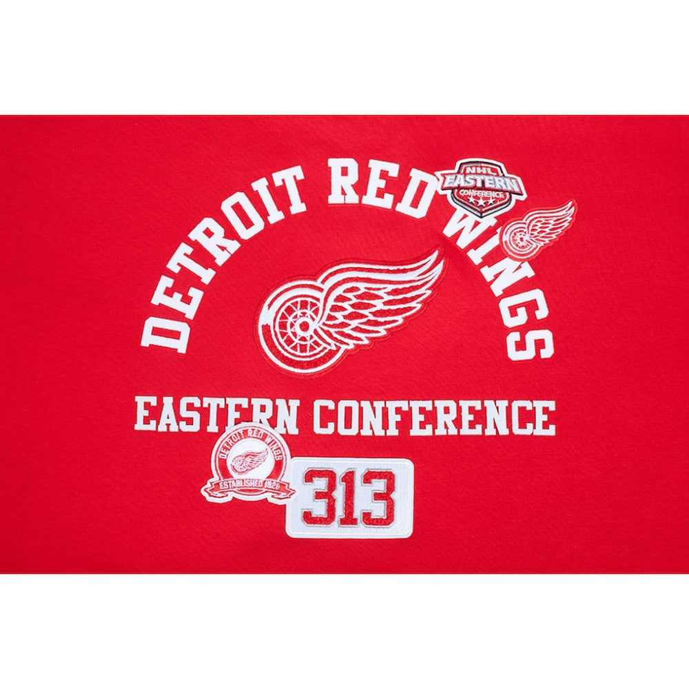 Detroit Red Wings Pro Standard Women's Area Code Cropped Pullover Sweatshirt
