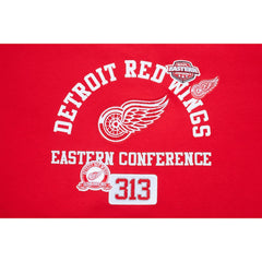 Detroit Red Wings Pro Standard Women's Area Code Cropped Pullover Sweatshirt