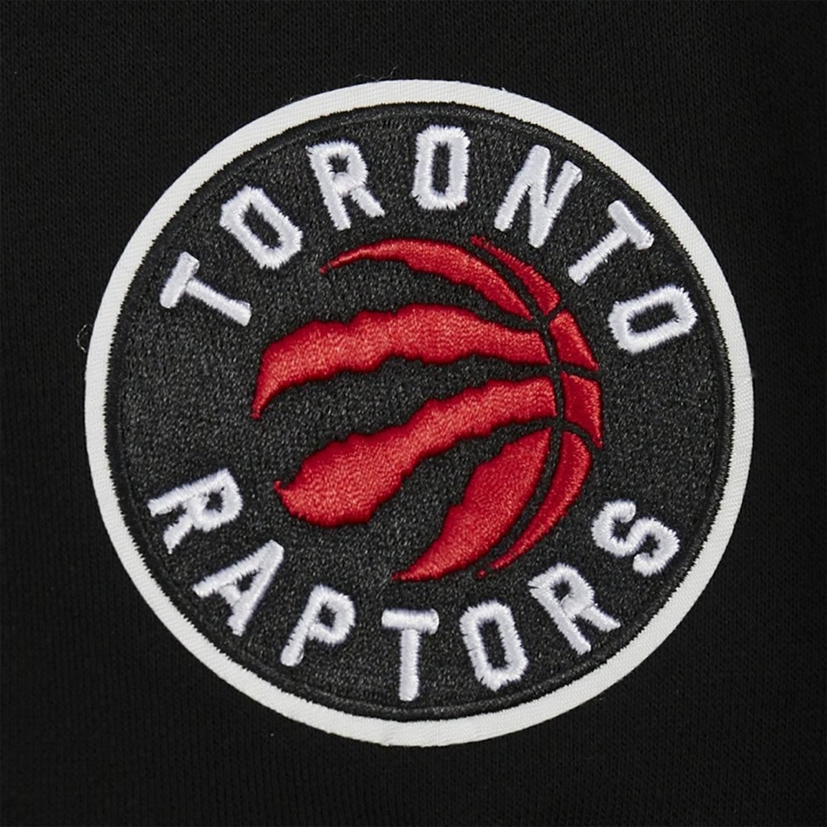 Toronto Raptors Pro Standard Women's Jewels Cropped Pullover Hoodie - Black discount