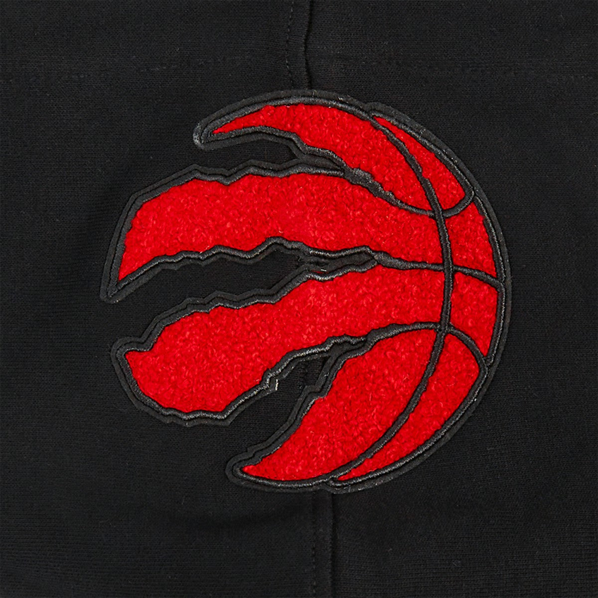 Toronto Raptors Pro Standard Area Code Pullover Hoodie - Black for sale