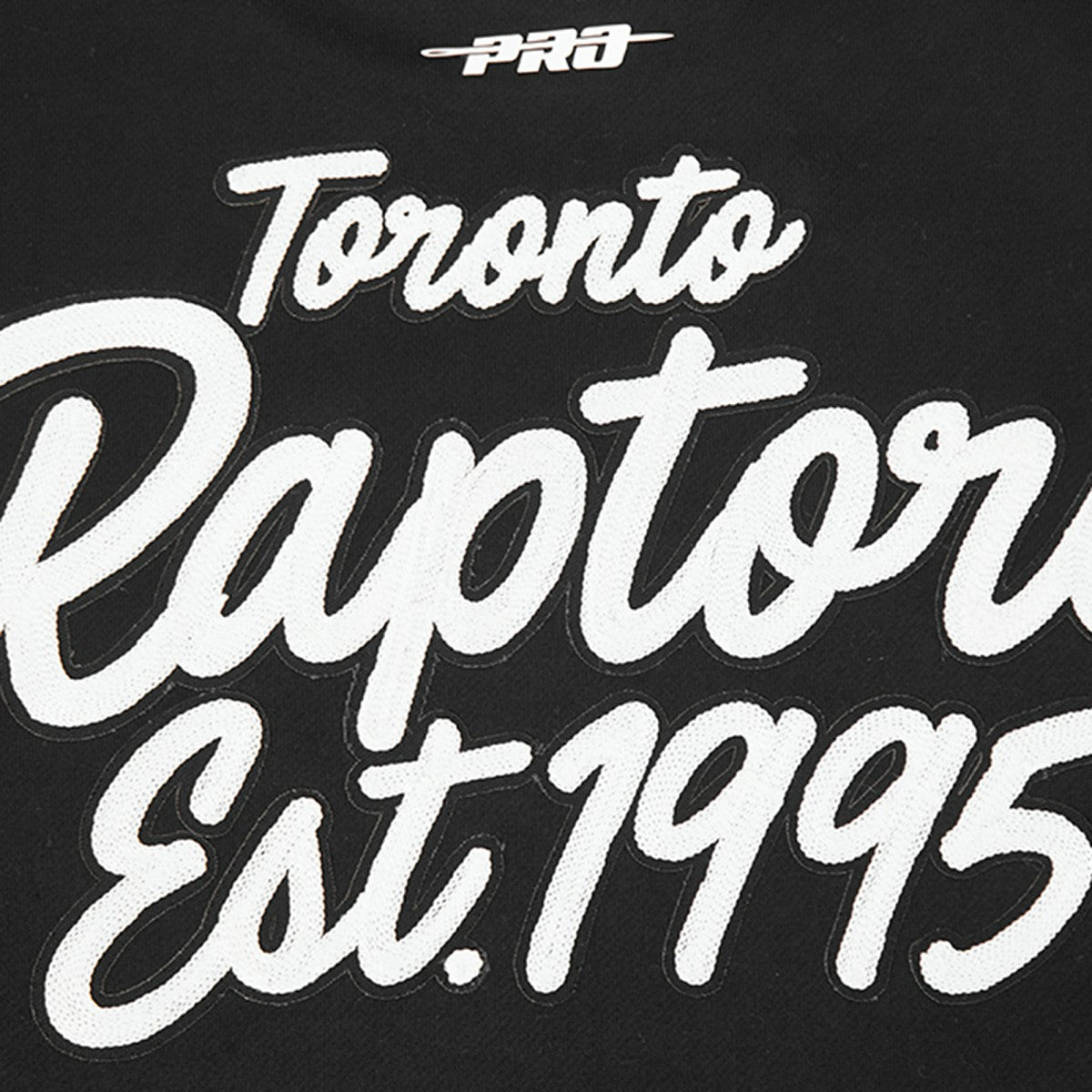 Toronto Raptors Pro Standard Paint the City Drop Shoulder Sweatshirt - Black for sale