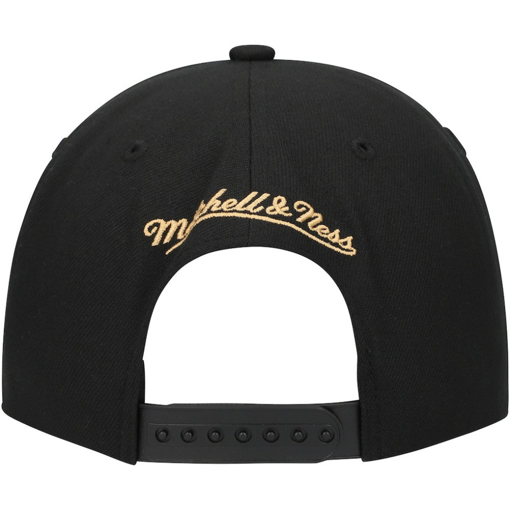 Florida Panthers Mitchell & Ness Core Team Script 2.0 Snapback Hat