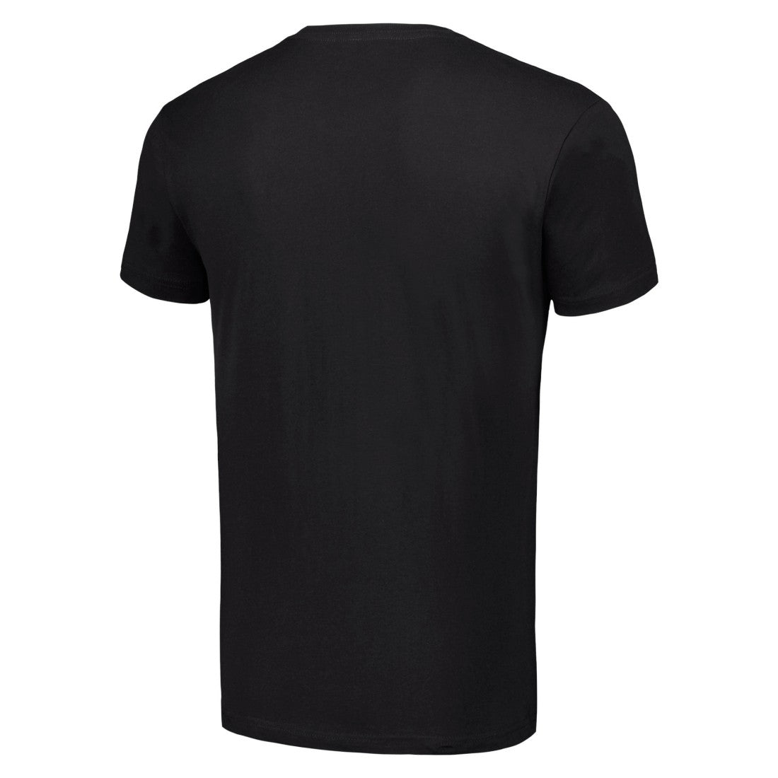 NFL Detroit Lions Starter Team Mesh Print Graphic T-Shirt