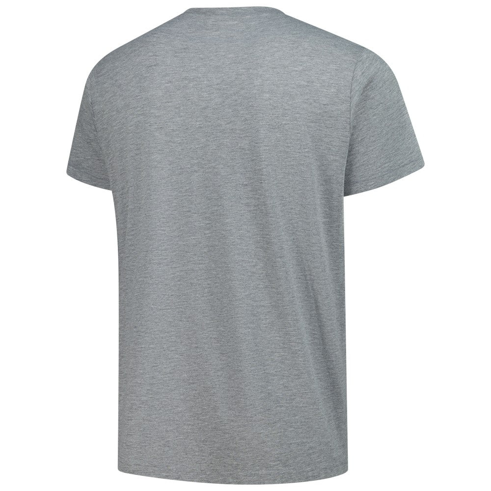 Cincinnati Reds Homage Grateful Dead Tri-Blend T-Shirt - Gray