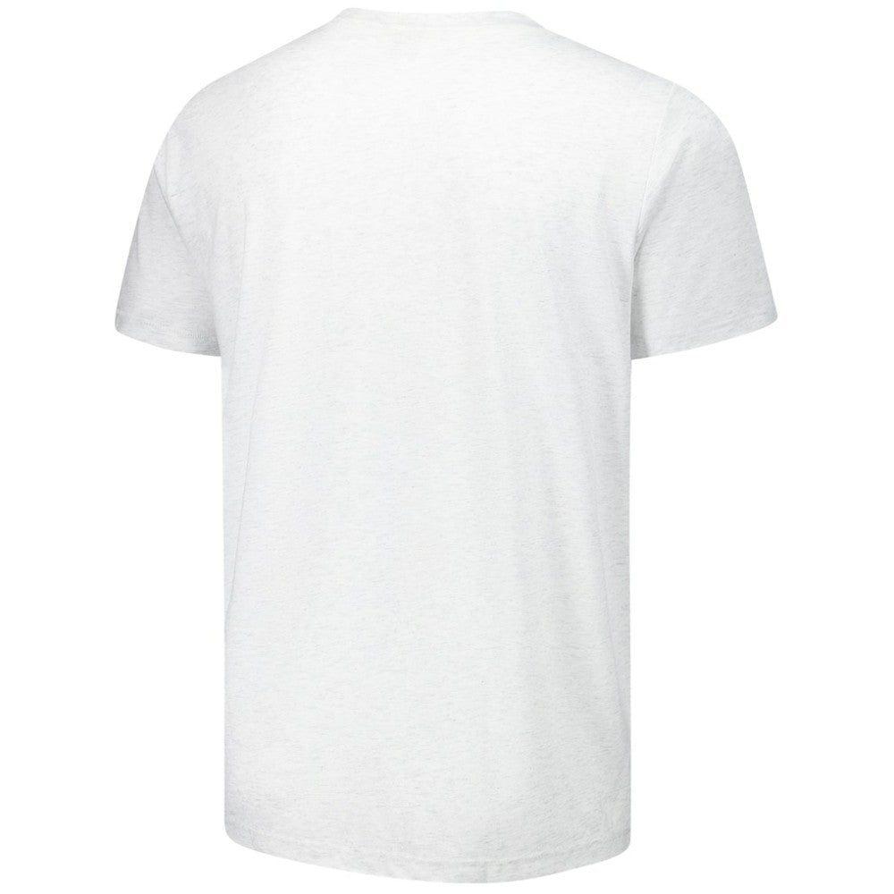 Boston Red Sox Homage Grateful Dead Tri-Blend T-Shirt - Ash