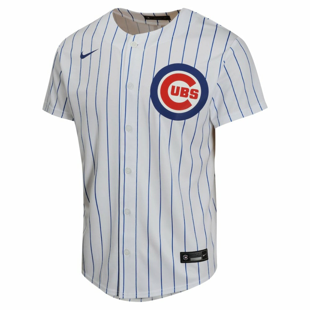 Dansby Swanson Chicago Cubs Youth Home Game Player Jersey - White | Nike