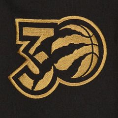 Toronto Raptors 2024/25 City Edition Chenille Heavyweight Pullover Hoodie - Black | New Era online