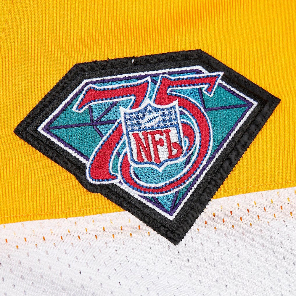 NFL Green Bay Packers Brett Favre  1994 Authentic Throwback Retired Player Jersey