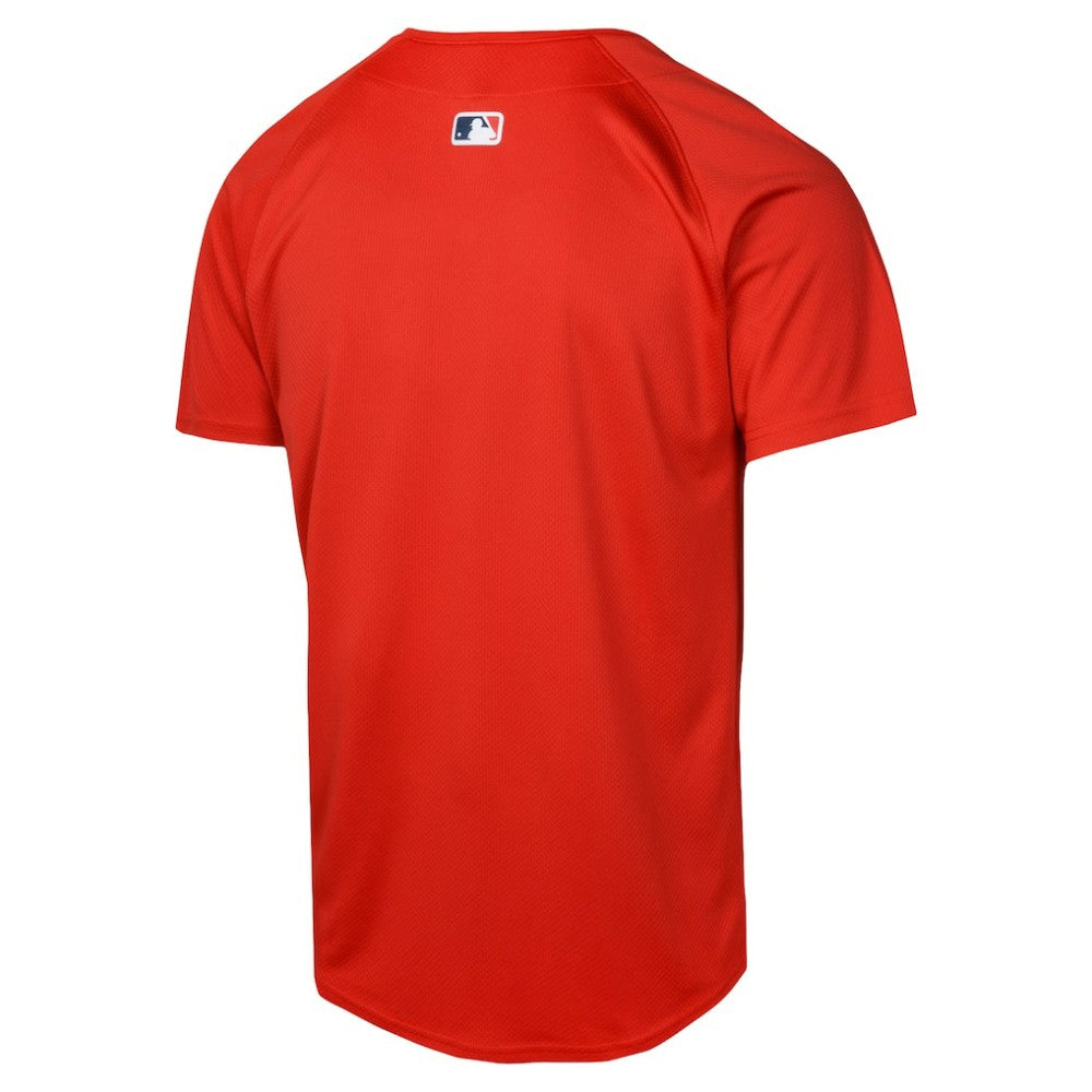 Boston Red Sox Youth Alternate Limited Jersey - Red | Nike