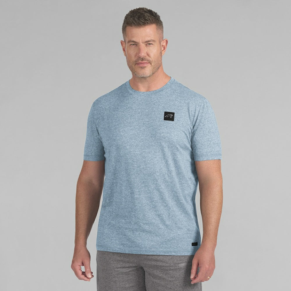 NFL Carolina Panthers J. Palmer Four Down T-Shirt