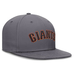 San Francisco Giants Performance True Fitted Hat - Gray | Nike