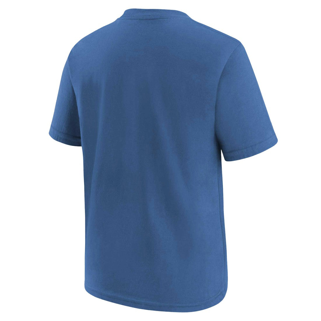 NFL Detroit Lions Youth Logo T-Shirt