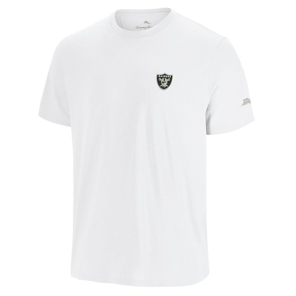 NFL Las Vegas Raiders Sport Torchdown Graphic T-Shirt
