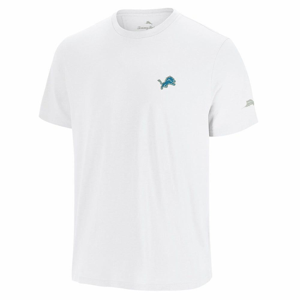 NFL Detroit Lions Sport Torchdown Graphic T-Shirt