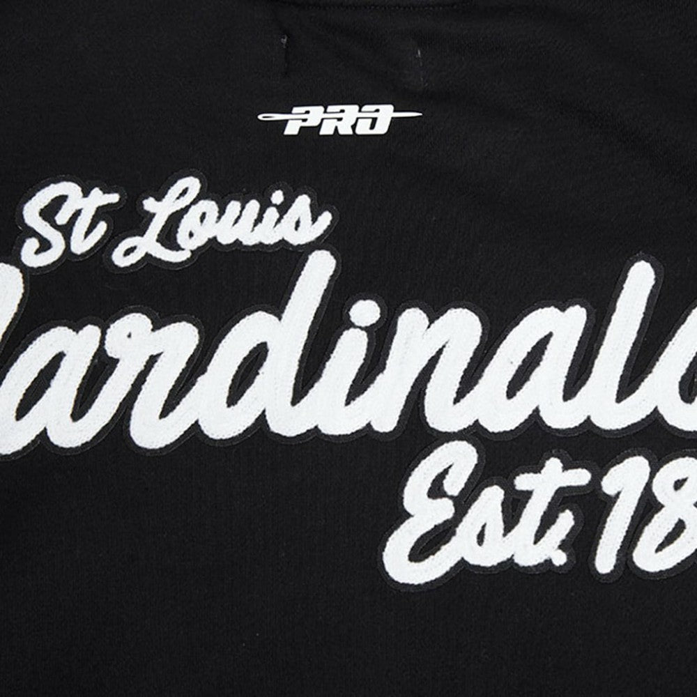 St. Louis Cardinals Pro Standard Paint The City Dropped Shoulder Pullover Sweatshirt - Black