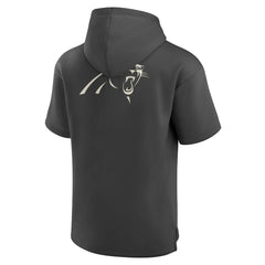 NFL Carolina Panthers Elements Future Ground Lettering Short Sleeve Pullover Hoodie