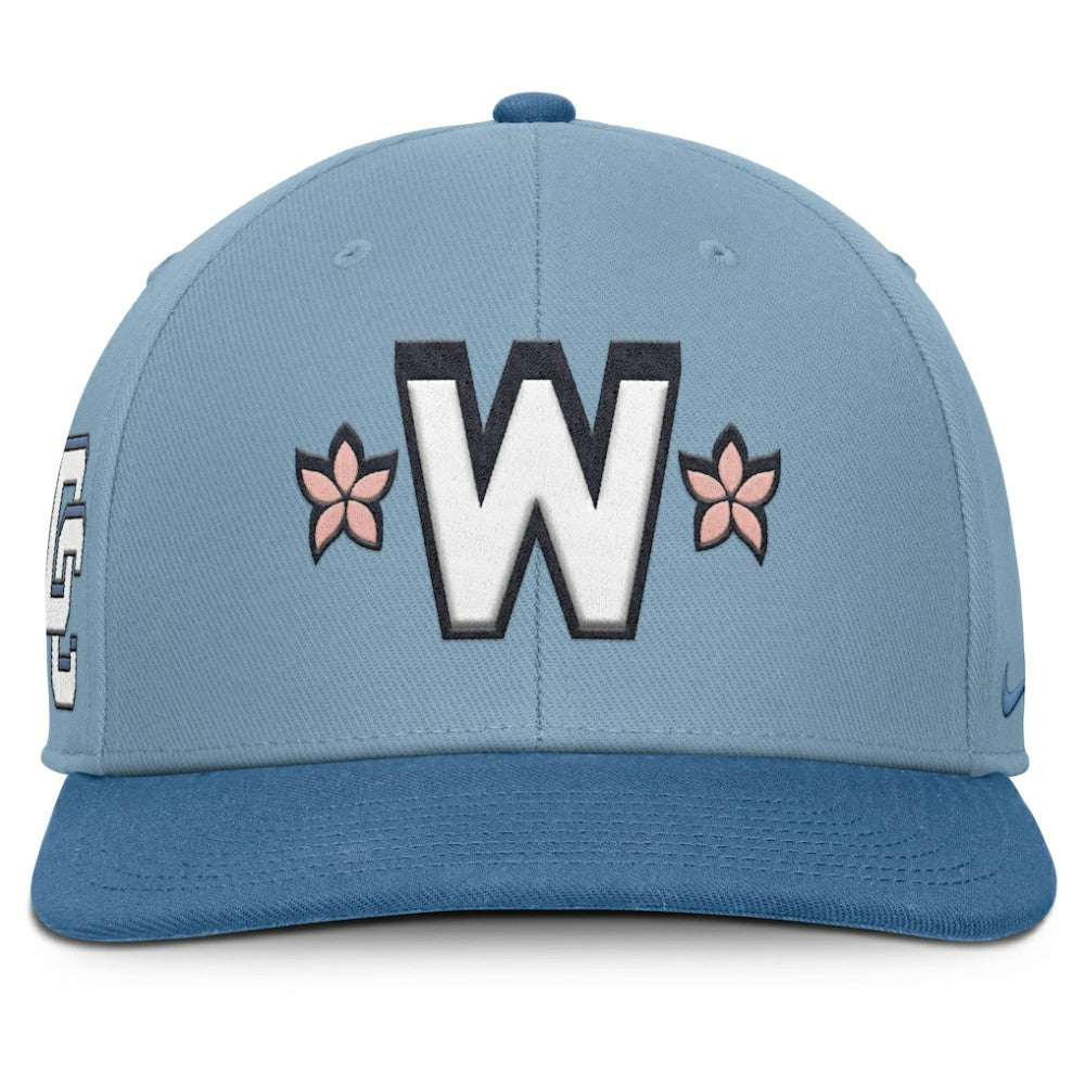 Washington Nationals 2025 City Connect Pro Performance Snapback Hat - Light Blue/Blue | Nike