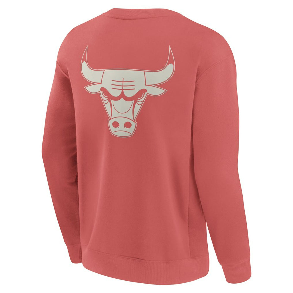Chicago Bulls Elements Future Ground Lettering Pullover Sweatshirt - Red | Fanatics cheap