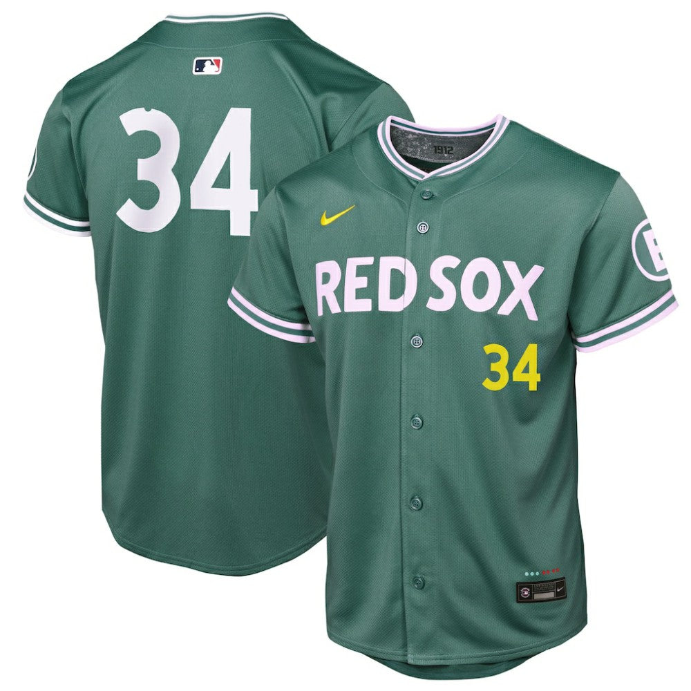 David Ortiz Boston Red Sox Youth 2025 City Connect Limited Retired Player Jersey - Green | Nike