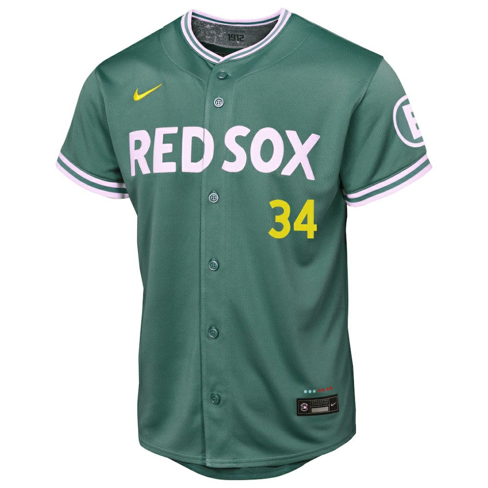 David Ortiz Boston Red Sox Youth 2025 City Connect Limited Retired Player Jersey - Green | Nike