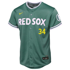David Ortiz Boston Red Sox Youth 2025 City Connect Limited Retired Player Jersey - Green | Nike
