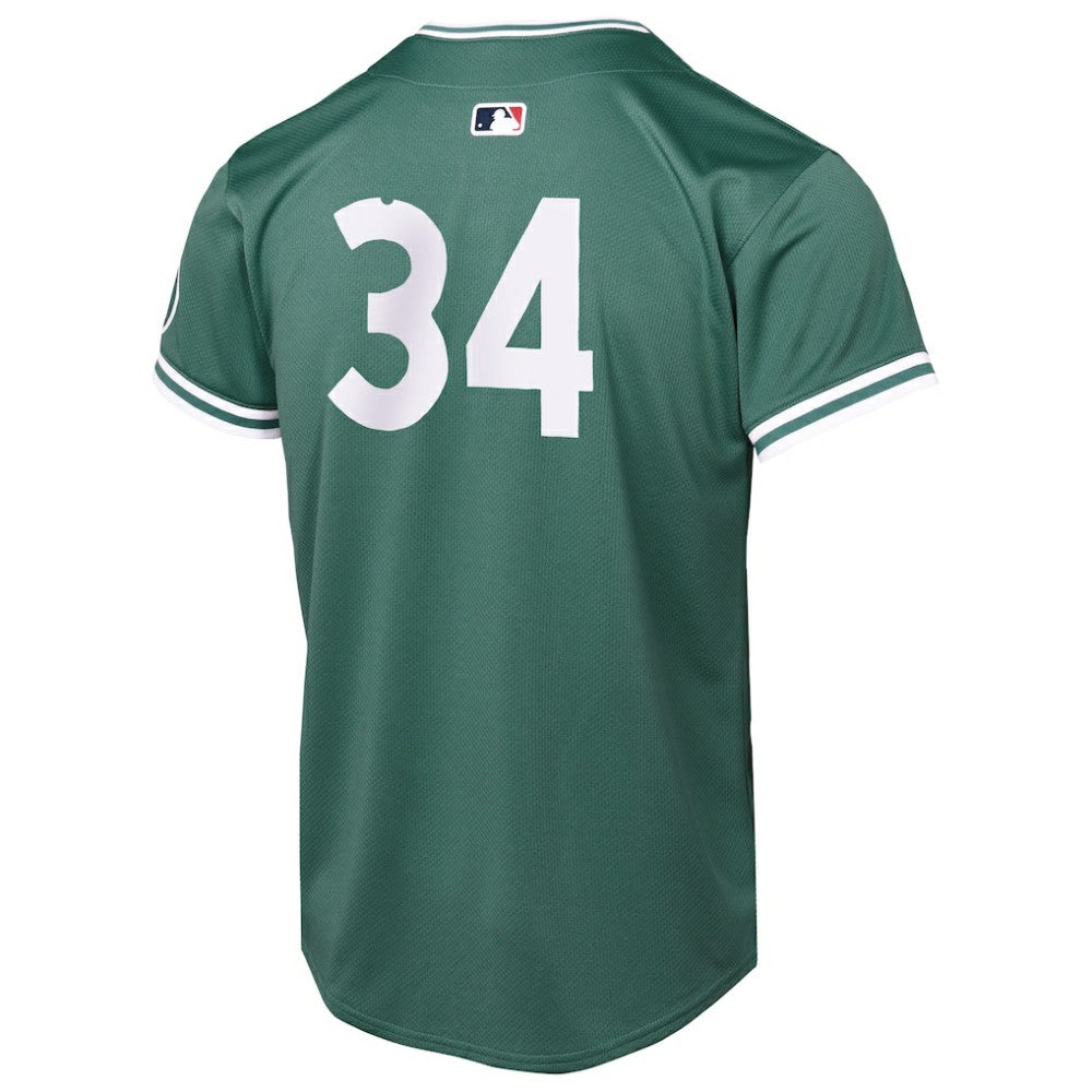 David Ortiz Boston Red Sox Youth 2025 City Connect Limited Retired Player Jersey - Green | Nike