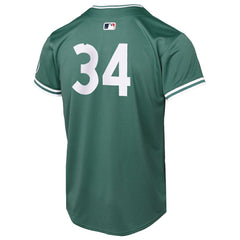 David Ortiz Boston Red Sox Youth 2025 City Connect Limited Retired Player Jersey - Green | Nike
