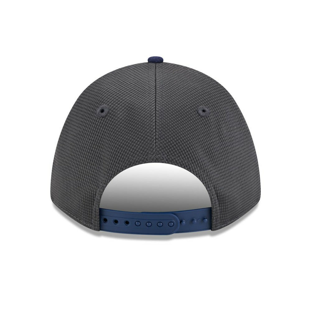 Houston Astros 2025 Batting Practice 9FORTY M-Crown Adjustable Hat - Gray/Navy | New Era