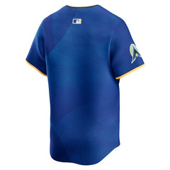 Minnesota Twins City Connect Limited Jersey - Royal | Nike