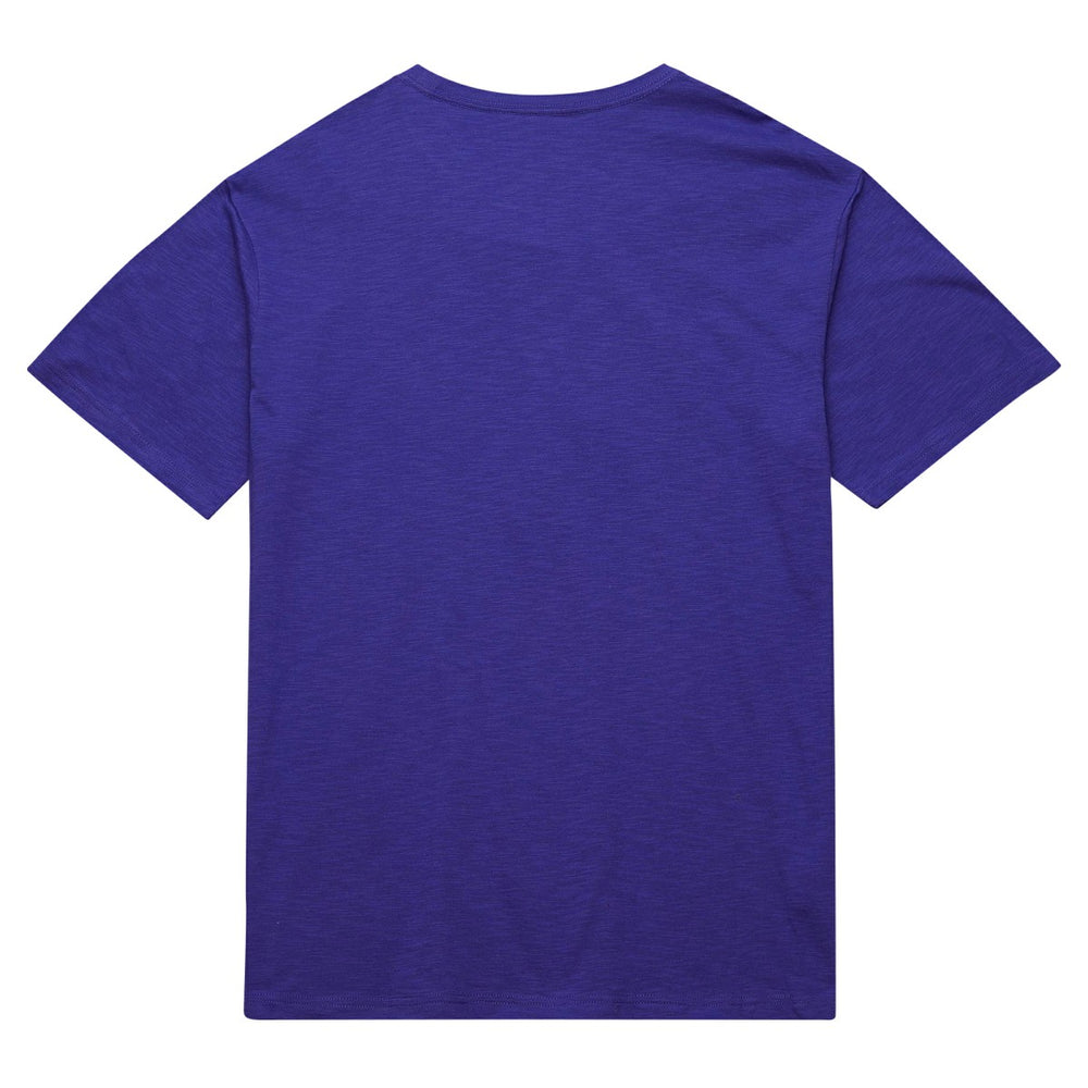 Phoenix Suns Hardwood Classics Felt Applique Slub T-Shirt - Purple | Mitchell & Ness outlet