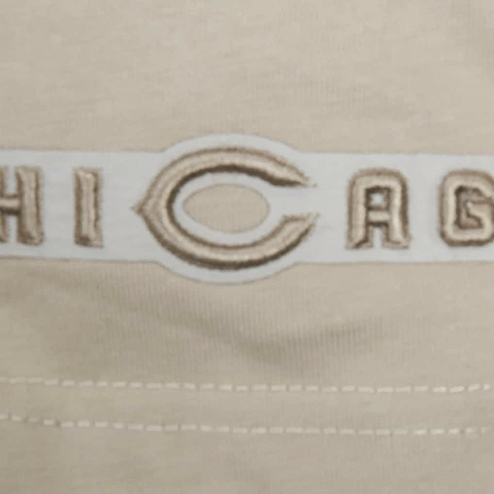 NFL Chicago Bears Pro Standard Neutrals Capsule Short Sleeve Pullover Hoodie
