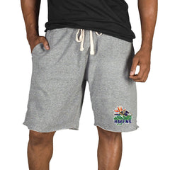 NFL Baltimore Ravens Concepts Sport Mainstream Tri-Blend Shorts