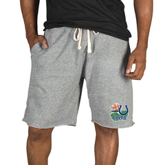NFL Indianapolis Colts Concepts Sport Mainstream Tri-Blend Shorts