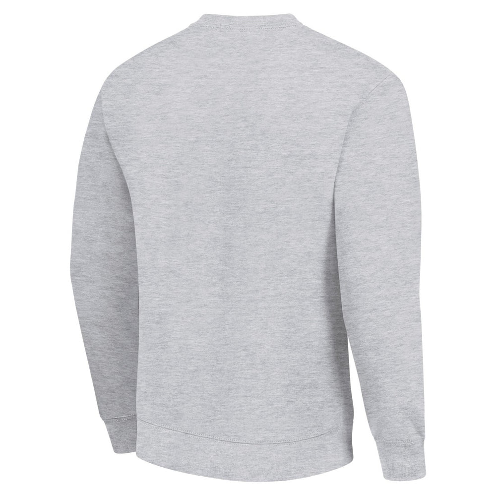 NFL Detroit Lions Starter Player Grid Pullover Sweatshirt