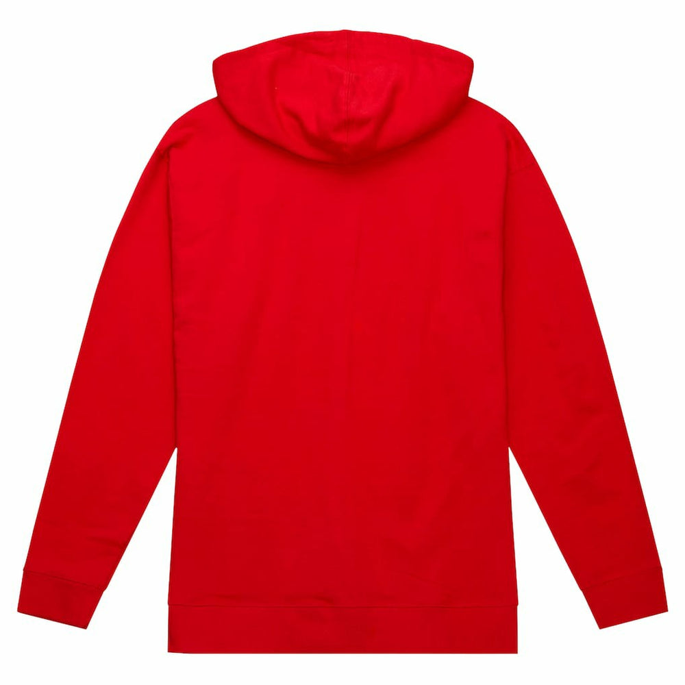 NFL San Francisco 49ers Team Wordmark Vintage Pullover Hoodie