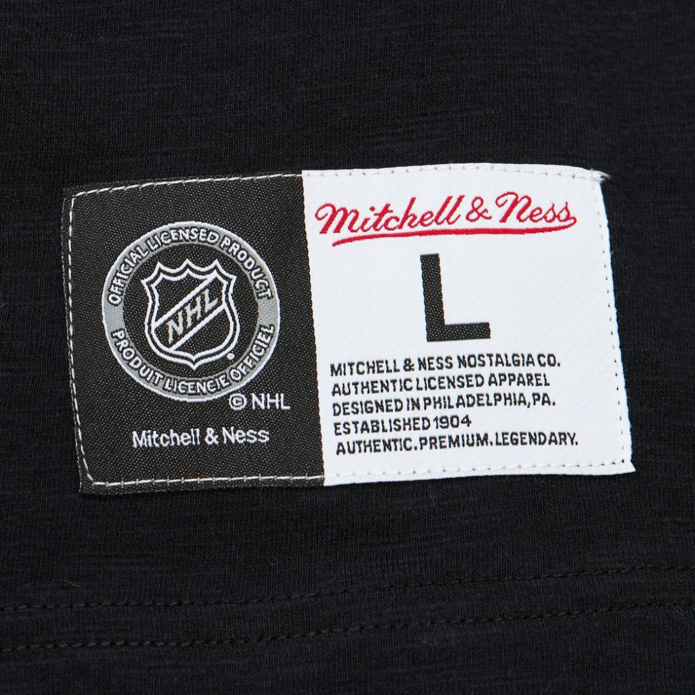 Carolina Hurricanes Mitchell & Ness Legendary Slub Raglan Long Sleeve T-Shirt