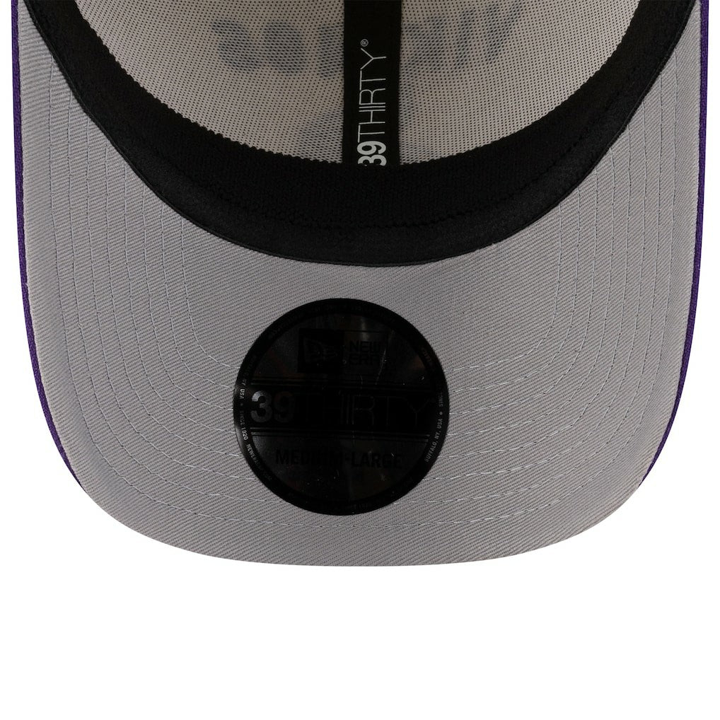NFL Minnesota Vikings 2025 NFL Draft 39THIRTY Flex Hat