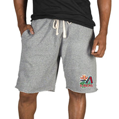 Arizona Diamondbacks Concepts Sport Mainstream Tri-Blend Shorts - Gray