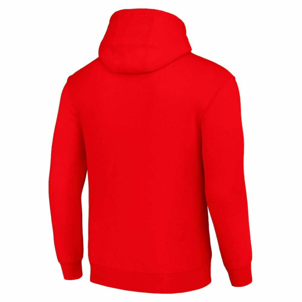 Detroit Red Wings Starter Logo Pullover Hoodie