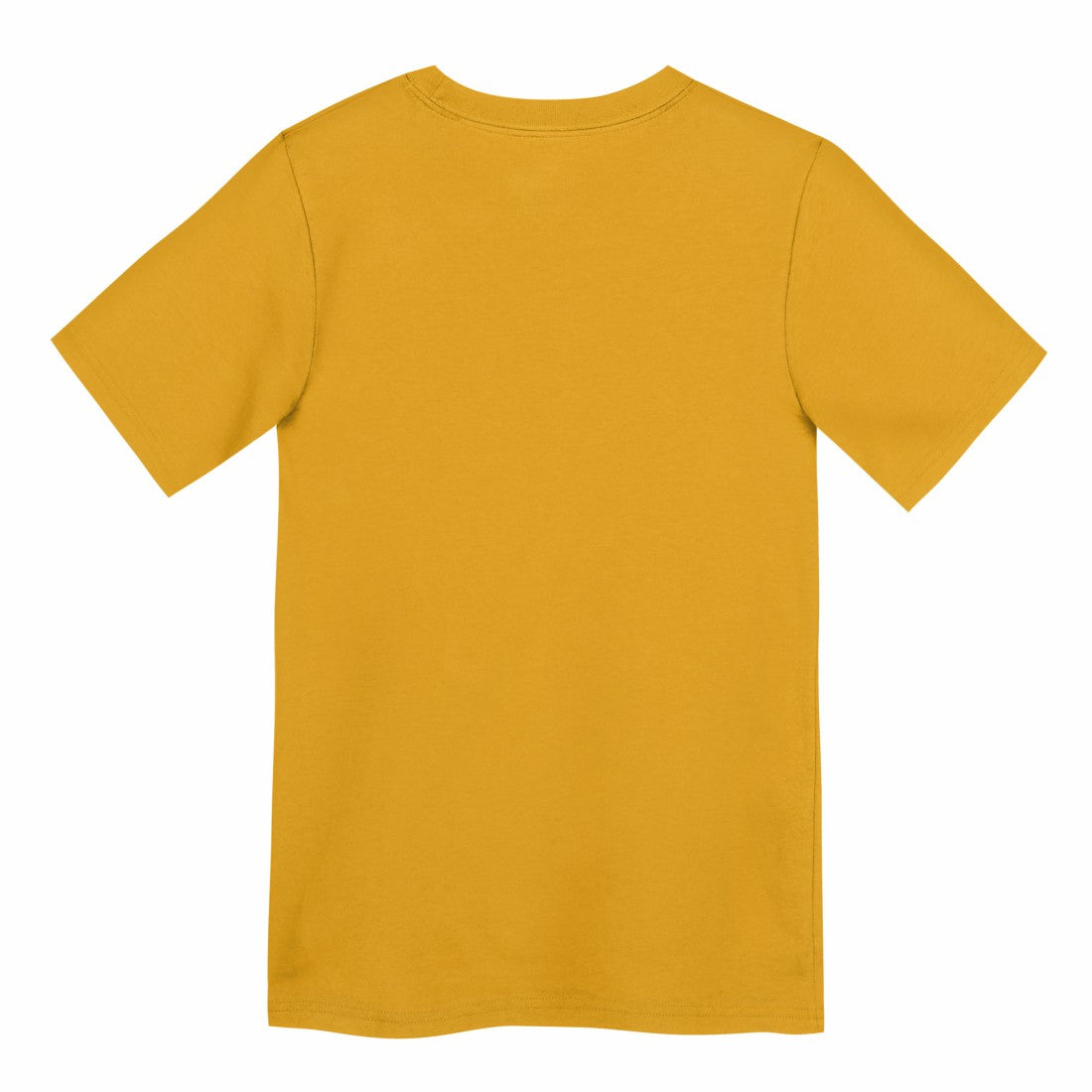 NFL Green Bay Packers Preschool Icon Legend Dri-FIT T-Shirt