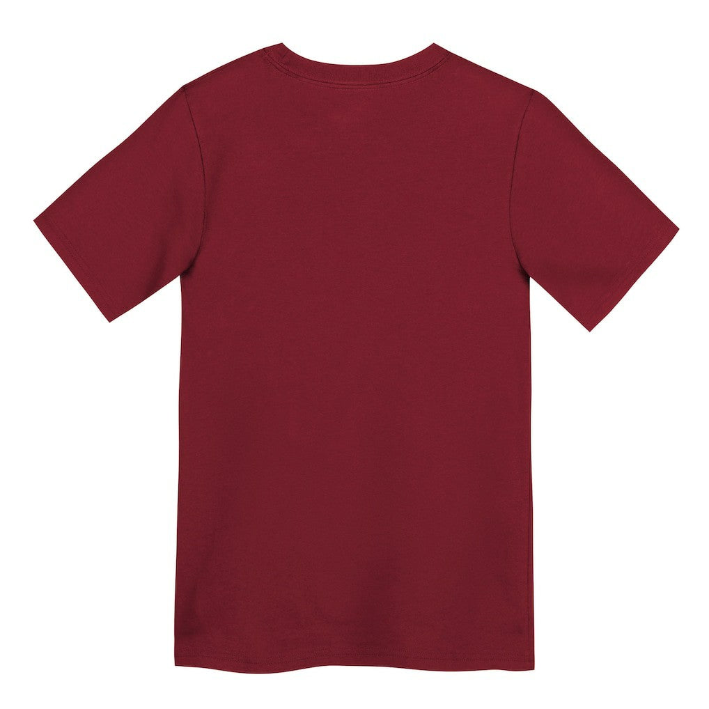 NFL San Francisco 49ers Preschool Primary Logo Legend Performance T-Shirt