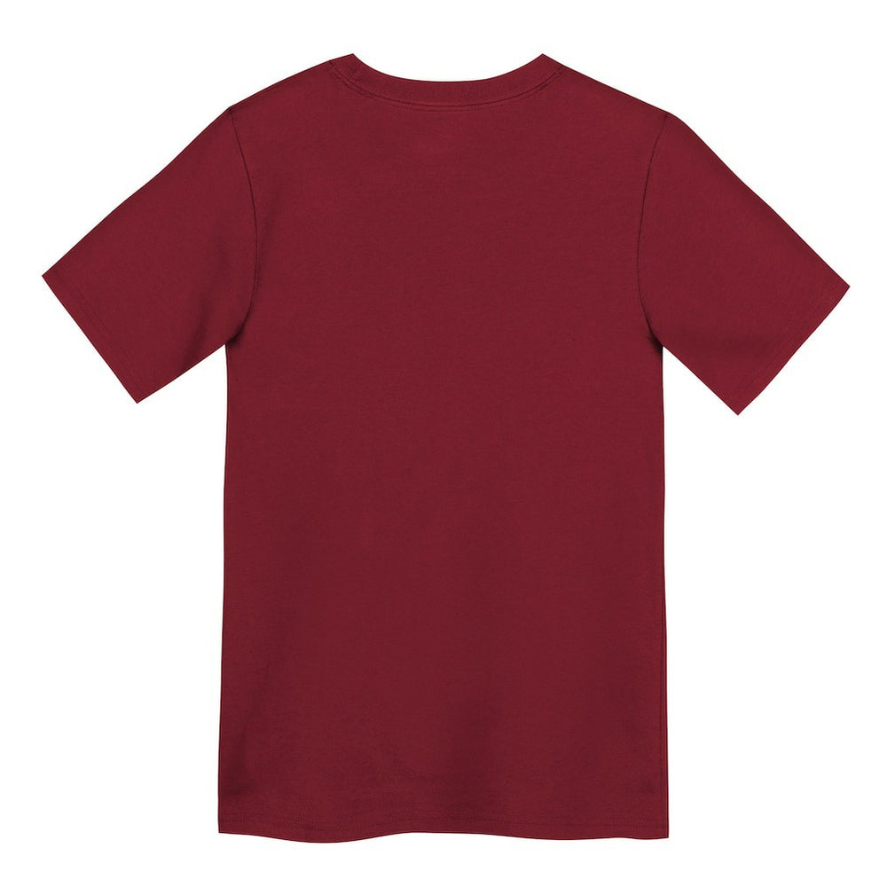 NFL San Francisco 49ers Preschool Primary Logo Legend Performance T-Shirt