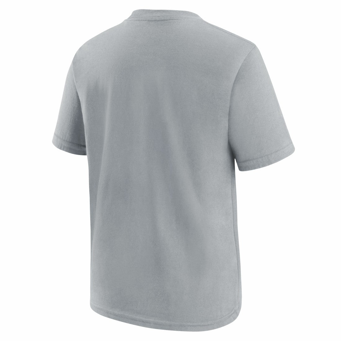 NFL Detroit Lions Youth Icon Legend T-Shirt