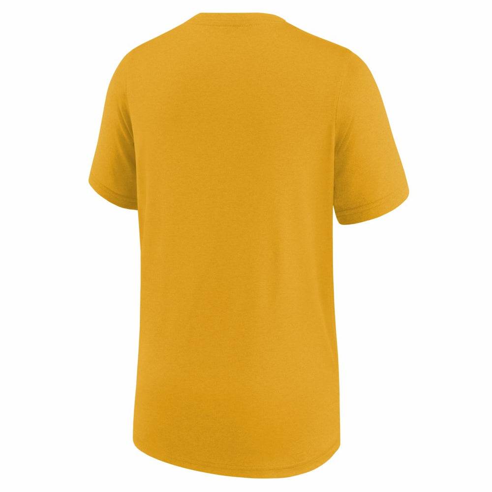 NFL Green Bay Packers Youth Icon Legend T-Shirt