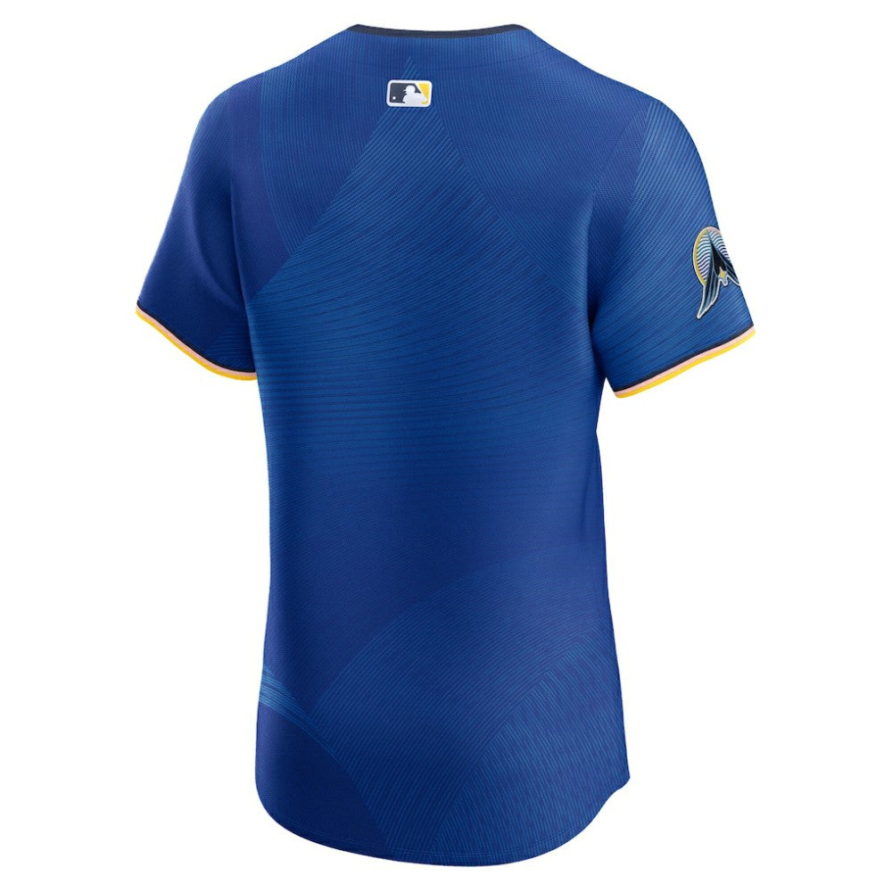 Minnesota Twins City Connect  Elite Jersey - Royal | Nike